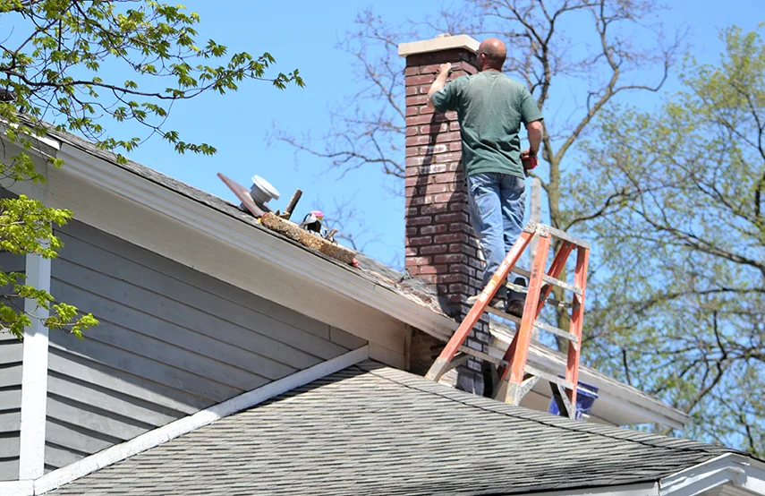 Chimney & Fireplace Inspections Services in Rosemont, CA